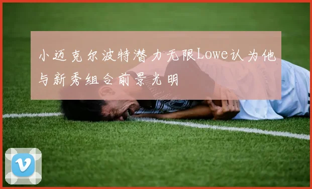 小迈克尔波特潜力无限Lowe认为他与新秀组合前景光明