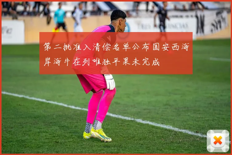 第二批准入清偿名单公布国安西海岸海牛在列唯独平果未完成