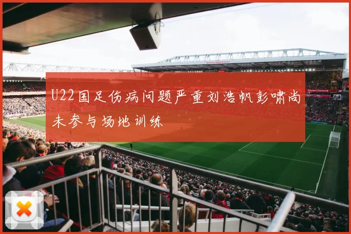 U22国足伤病问题严重刘浩帆彭啸尚未参与场地训练